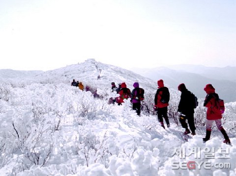 태백산 이미지