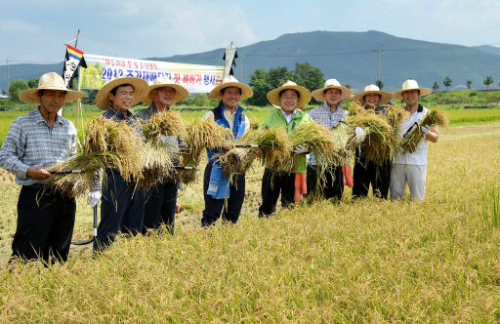 만든곳: 한국 네티즌본부 카페
