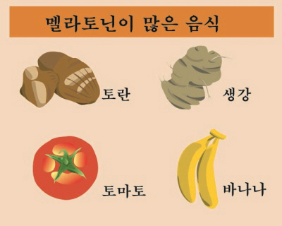 http://www.segye.com/newsView/20130605004057 멜라토닌 균형 유지해야 성조숙증 피할 수 있다