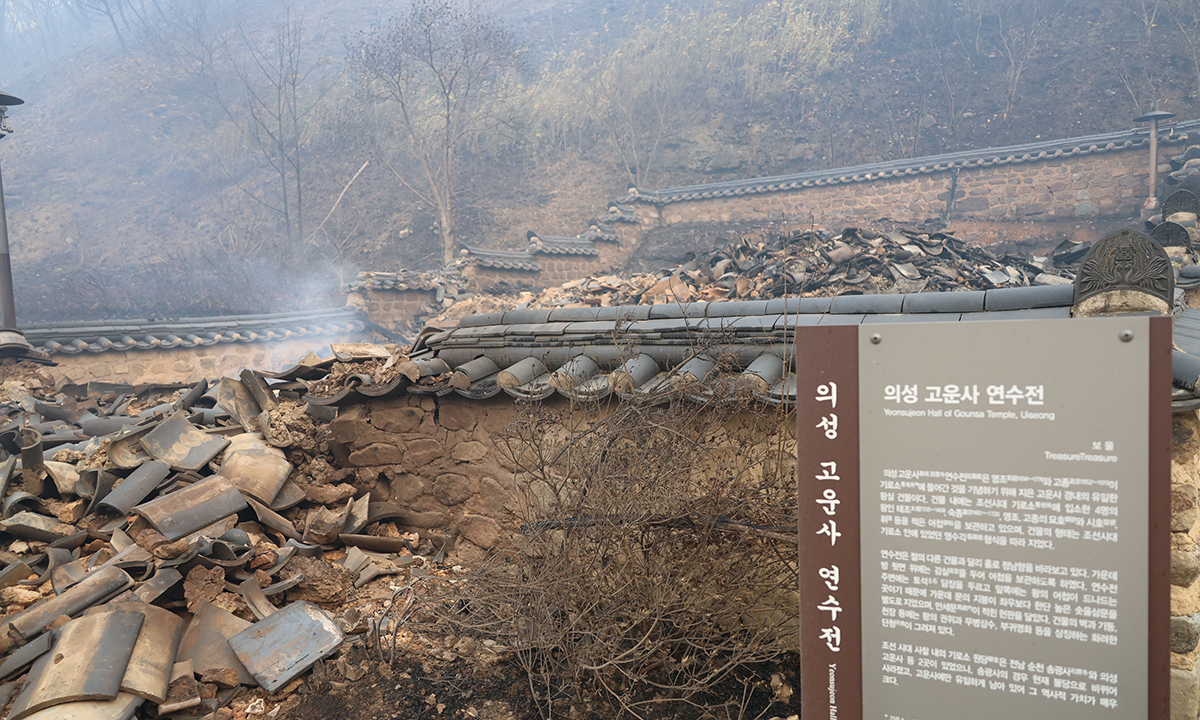 사진 이미지