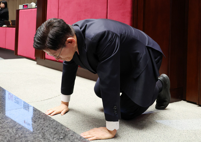사진 이미지