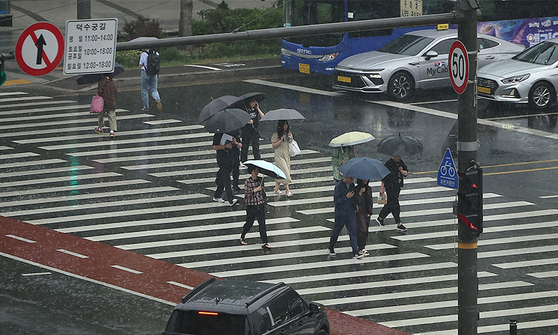 사진 이미지