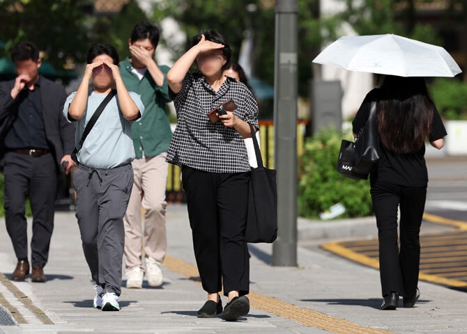 사진 이미지