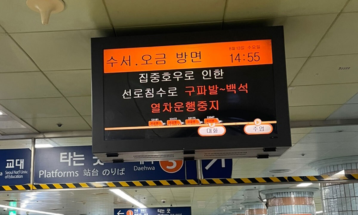 사진 이미지