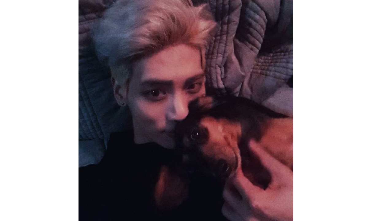 고 종현 곁으로 떠난 반려견 루…“행복 나눠줘서 고마웠어”