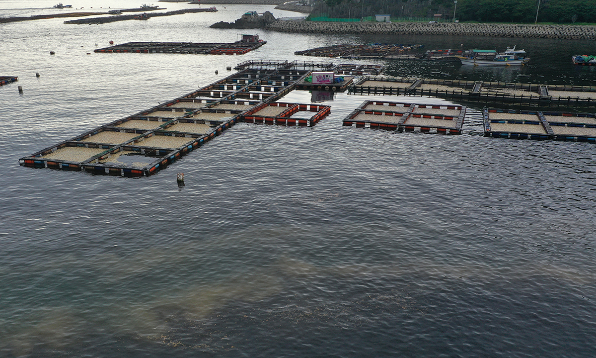 적조 확산에 어민 피해 큰데… “재해보험 비싸 가입 어려워”