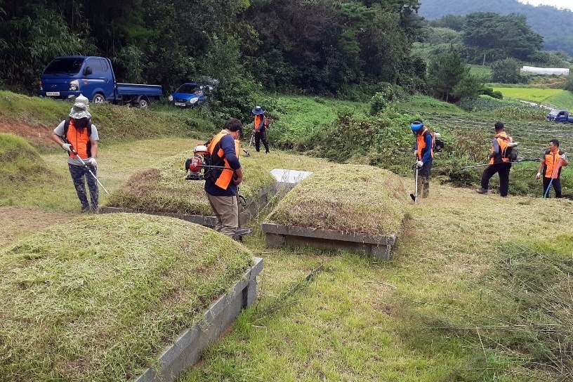 예초기 사고 절반이 ‘추석’ 전후…“벌쏘임·뱀물림도 주의해야”