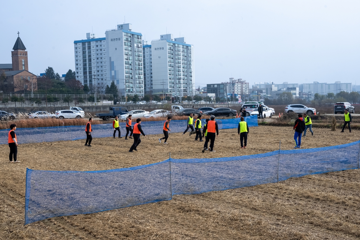 “호밀 싹 축구장”…충북 제천서 전국 ‘논두렁 축구대회’ 열린다