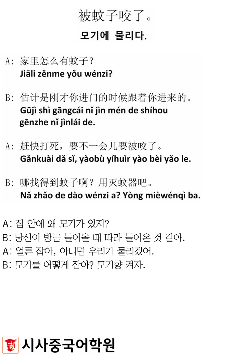 [시사중국어학원의 리얼 중국어 회화] 모기에 물리다.
