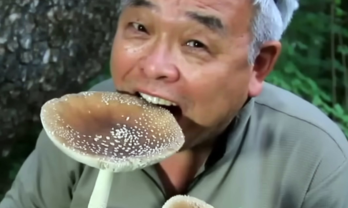 “내가 버섯 좀 아는데!” 그 ‘착각’이 목숨 노린다? [수민이가 궁금해요]