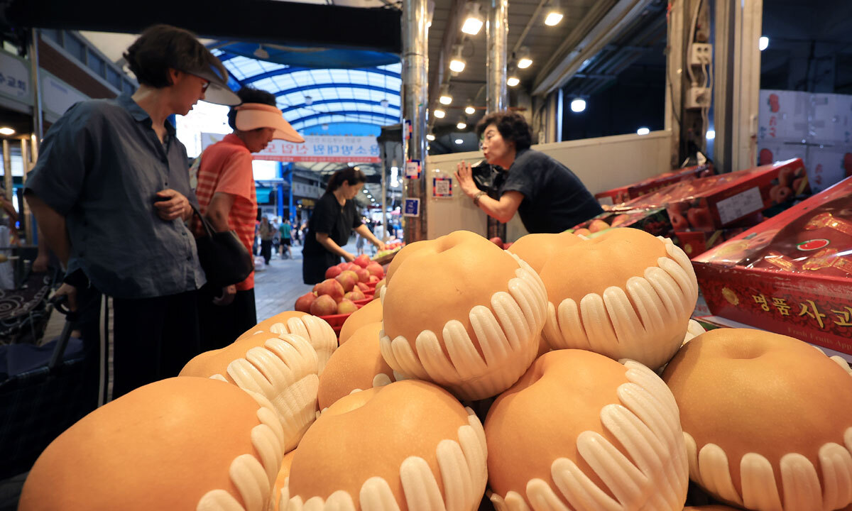 사진 이미지
