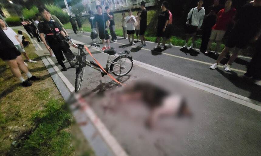 전기자전거 4㎞ 열대야 질주 러프콜리 질식사… 천안시, ‘24시 동물구조 시스템 구축’ 후속조치