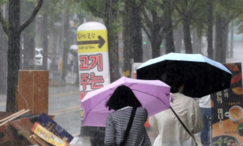 사진 이미지