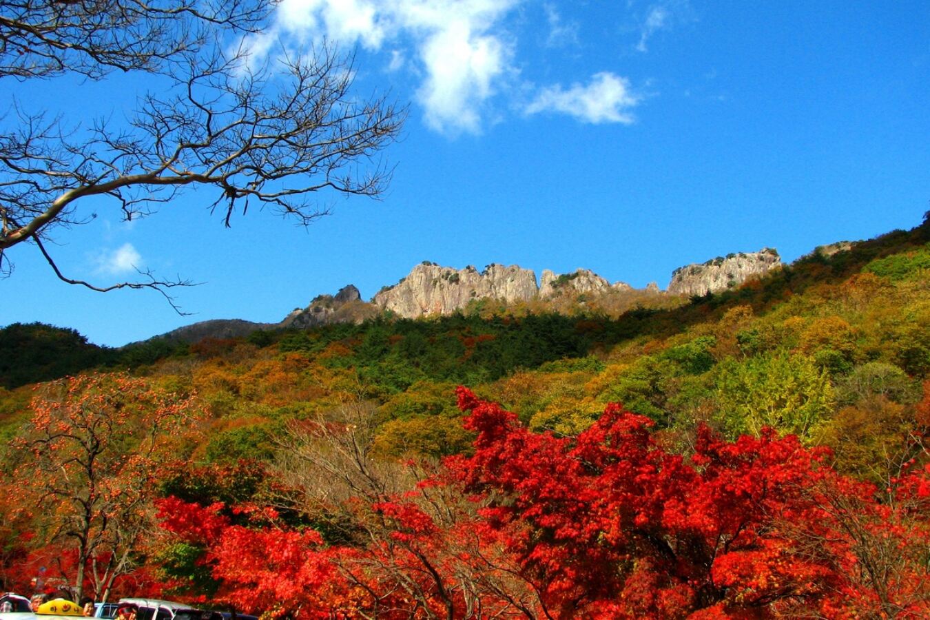 내장산 ‘서래봉 탐방로’ 예약제… 10월 18일부터 한 달간