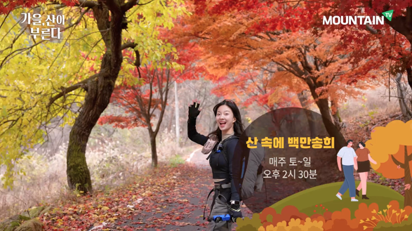 가을빛 물드는 10월…억새와 단풍 만끽할 명산 어디?