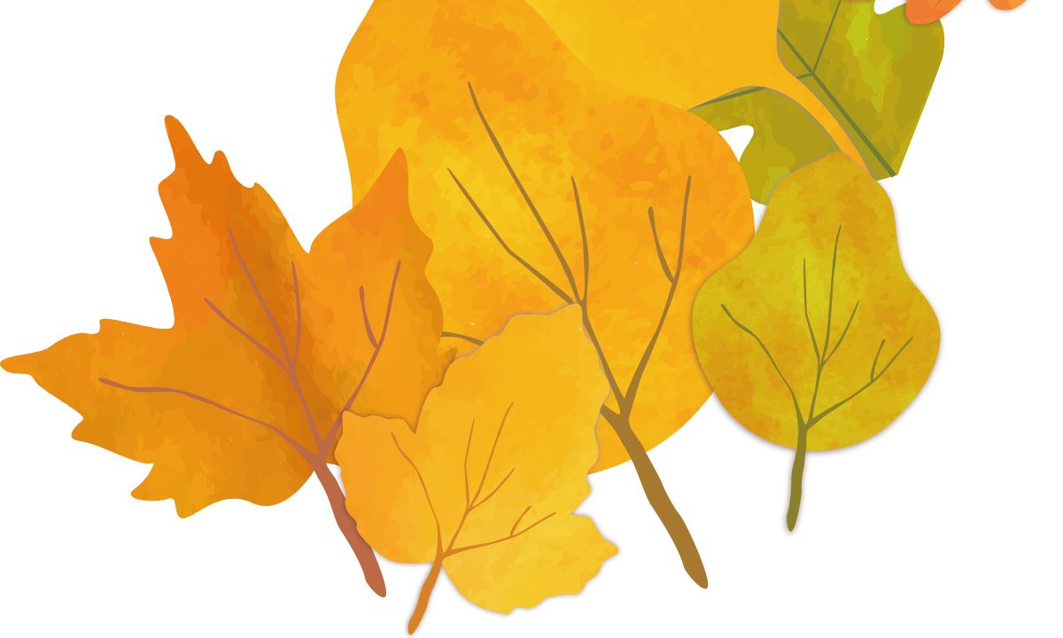 맛있는 토크… ‘구味’에 빠져볼까