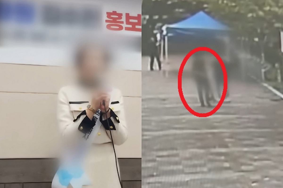 사진 이미지