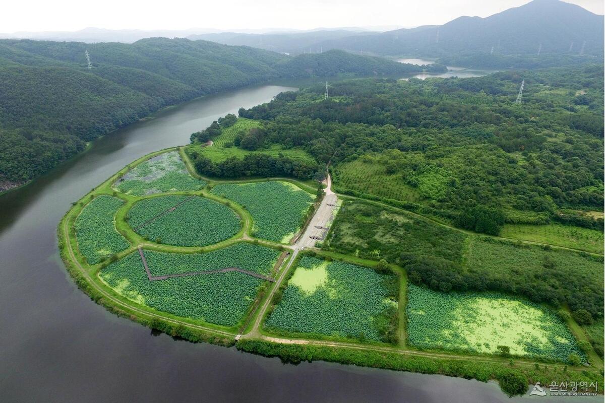 1년에 한 달, 4시간만 공개… ‘회야댐 생태습지’ 관광명소로도 인기
