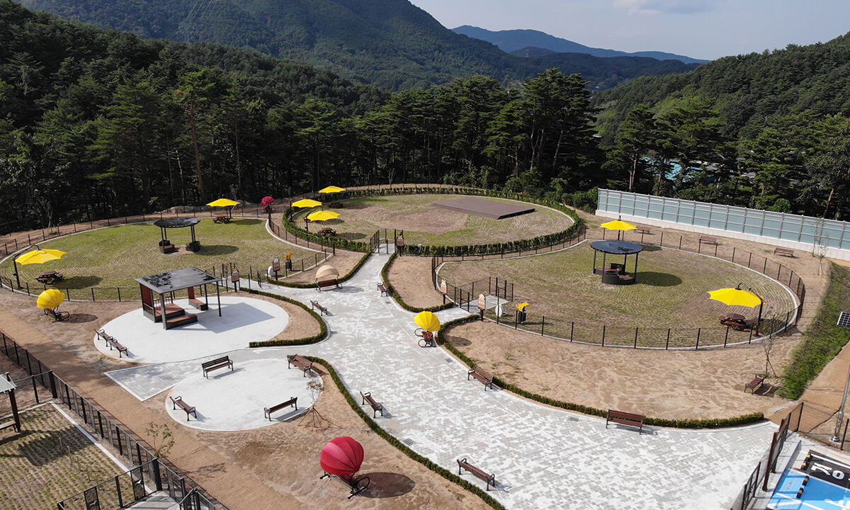 반려동물 놀이터 ‘강릉 펫파크’ 2026년 상반기 개장