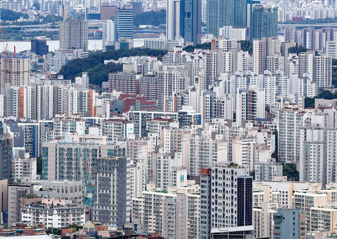 사진 이미지