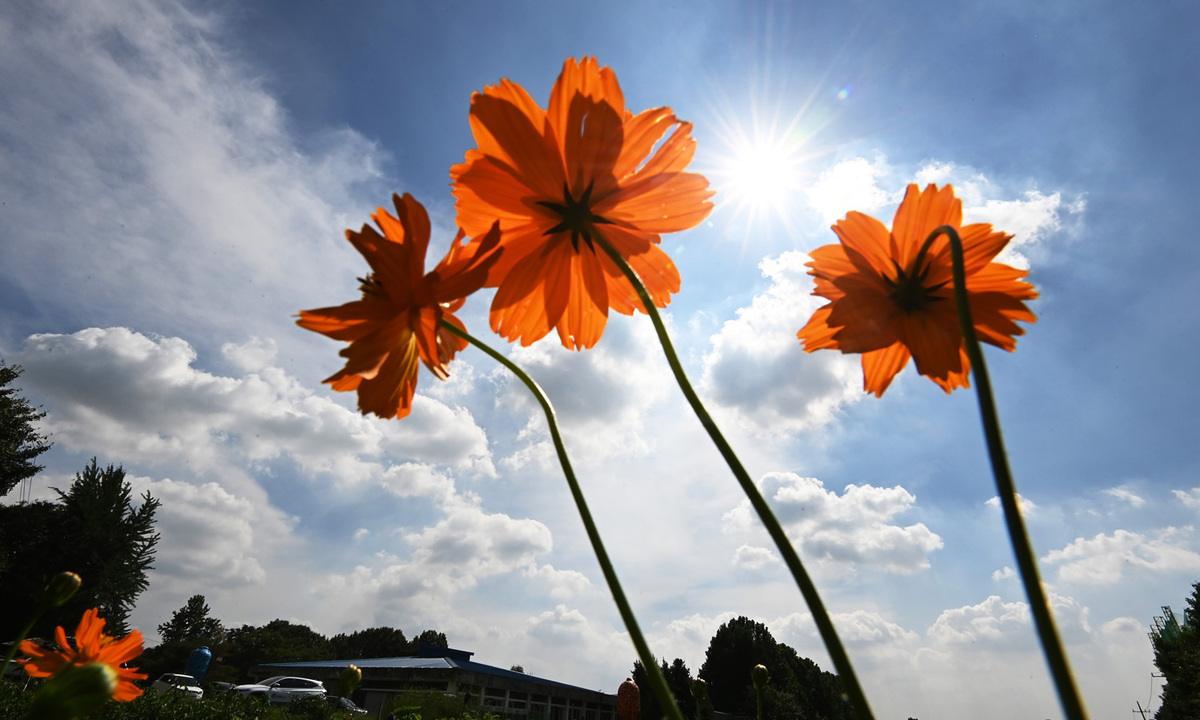 “10월 중순인데 에어컨 틀었다”…보성 30.2도 등 전남지역 10월달 최고기온 경신