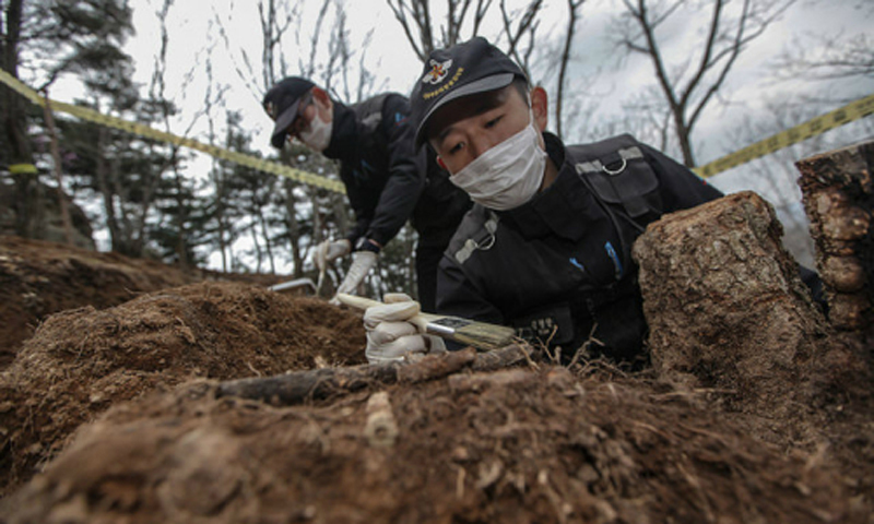 백마고지 6·25 전사자 유해발굴 재개
