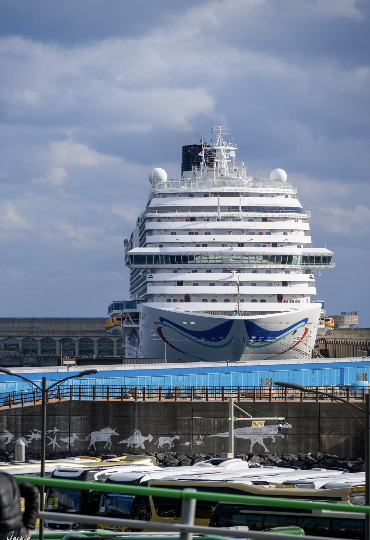 100대 1… 제주 준모항 크루즈 체험 ‘치열한 경쟁률’