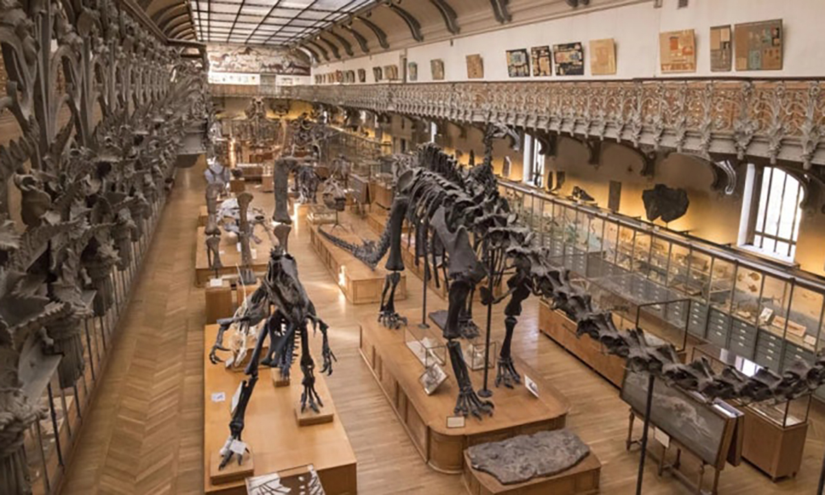 파리 박물관서 24억원 금덩이 훔친 20대 中 여성… 스페인서 붙잡혔다