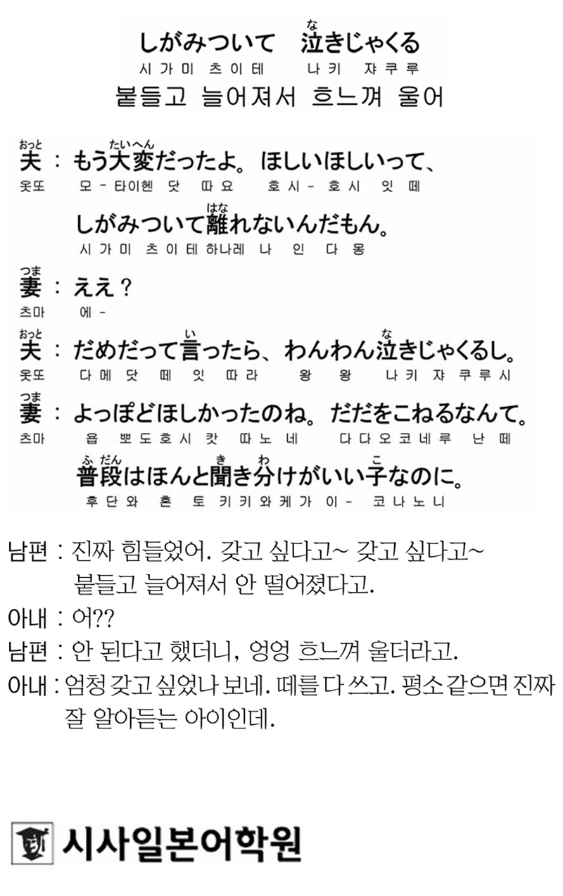 [시사일본어학원의 초단기 일본어 회화] 붙들고 늘어져서 흐느껴 울어