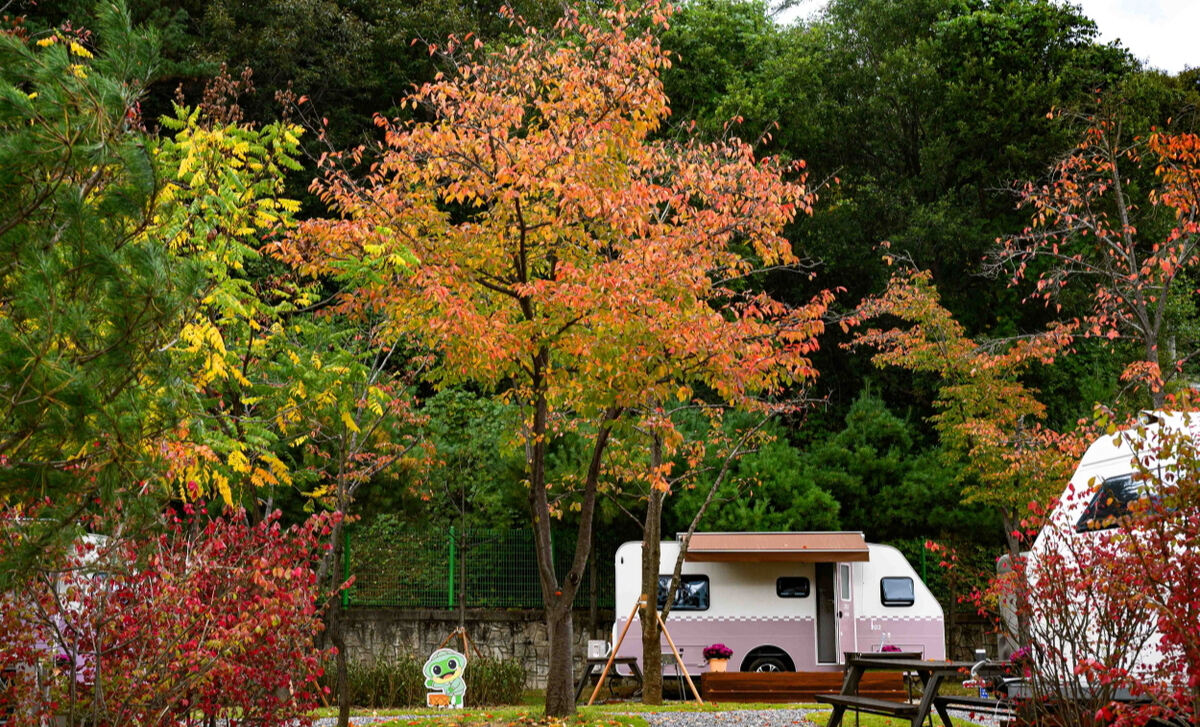 ‘지역소멸 특효약’ 떠오른 캠핑장?…청량산 수원캠핑장 조성 뒷얘기 [오상도의 경기유랑]