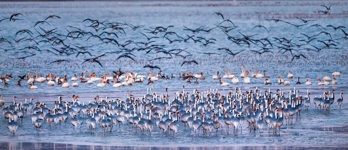 ‘겨울 철새 도래지’ 창원 주남저수지, 11월 ‘이달의 생태관광지’ 선정