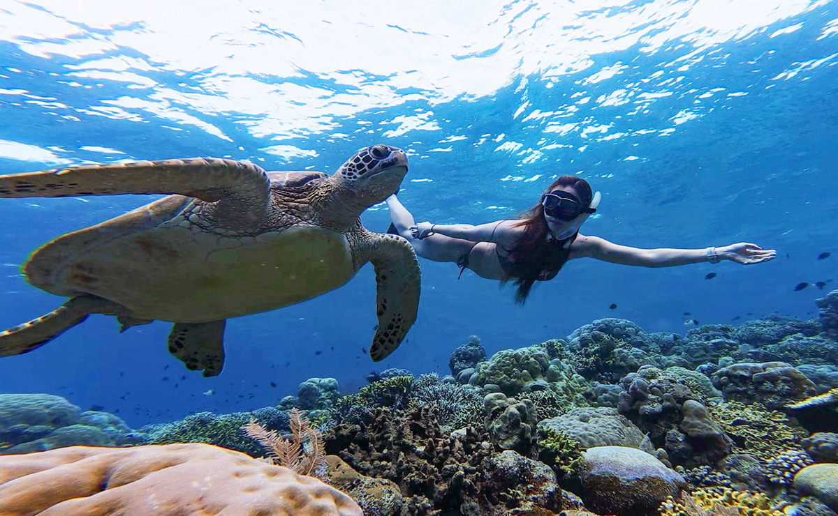 “지구상 마지막 낙원”… 바다거북이의 천국 “마나도”로 떠나보자 [한강로 사진관]