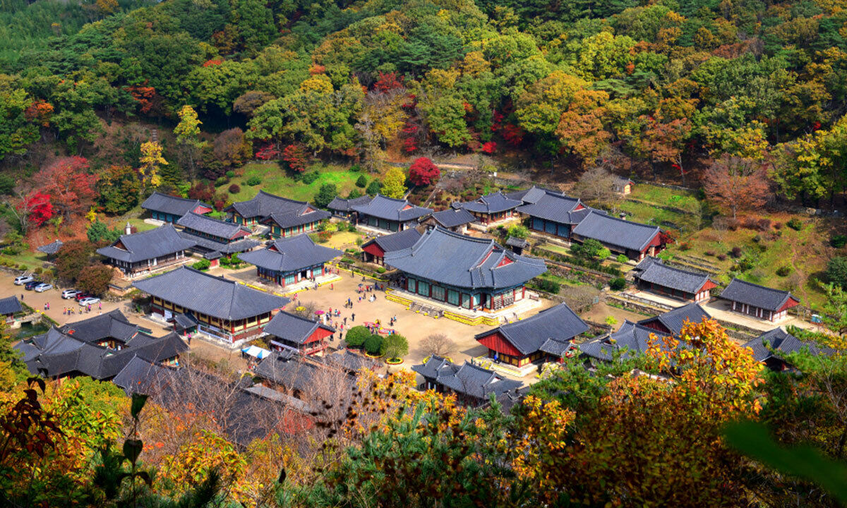 전남도, 순천 송광사 등 4곳… ‘단풍길 따라 떠나는 힐링여행지’ 추천