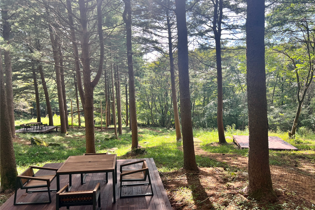 진안고원에 국립산림치유원 개원…전국 두 번째