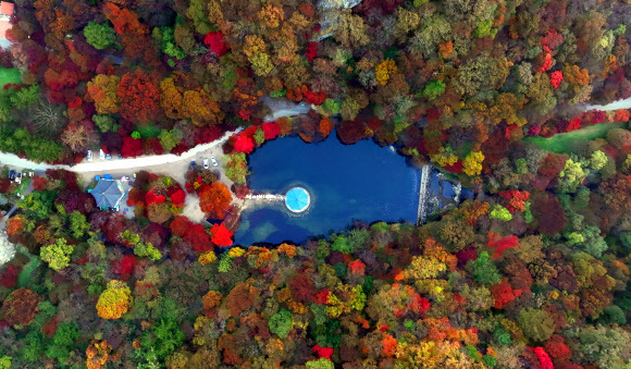 ‘지각 단풍’ 속출, 내장산 등 다음 주 절정…원인은 ‘이상기후’ 탓
