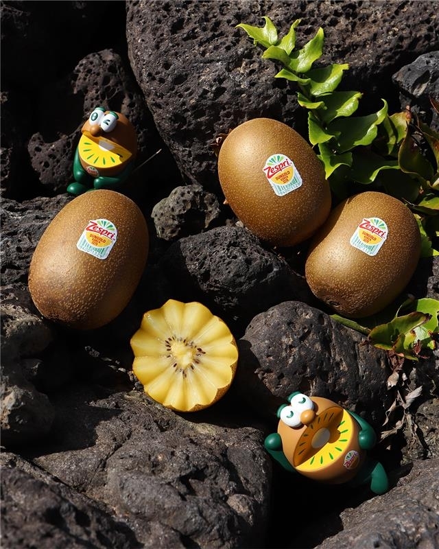 “겨울엔 비타민C 채워야지”…제스프리, 국내산 썬골드키위 첫 출하