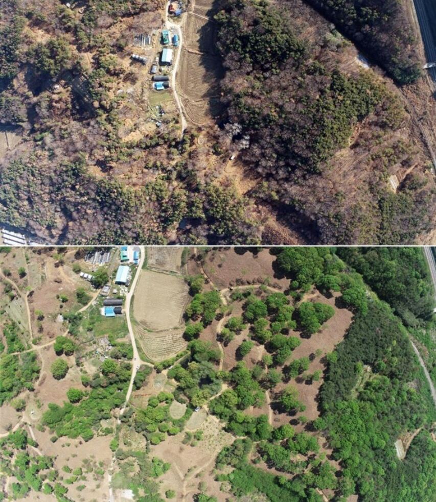 소나무재선충병 ‘확산 차단·산림복원’…전북도 ‘수종전환 방제’ 본격화