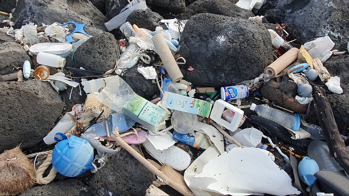 제주 해안에 한 달 새 10번째 차(茶) 봉지 마약…우도에서도 발견