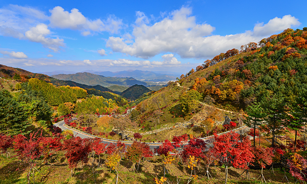 1호 관광도로… ‘지리산 풍경길’