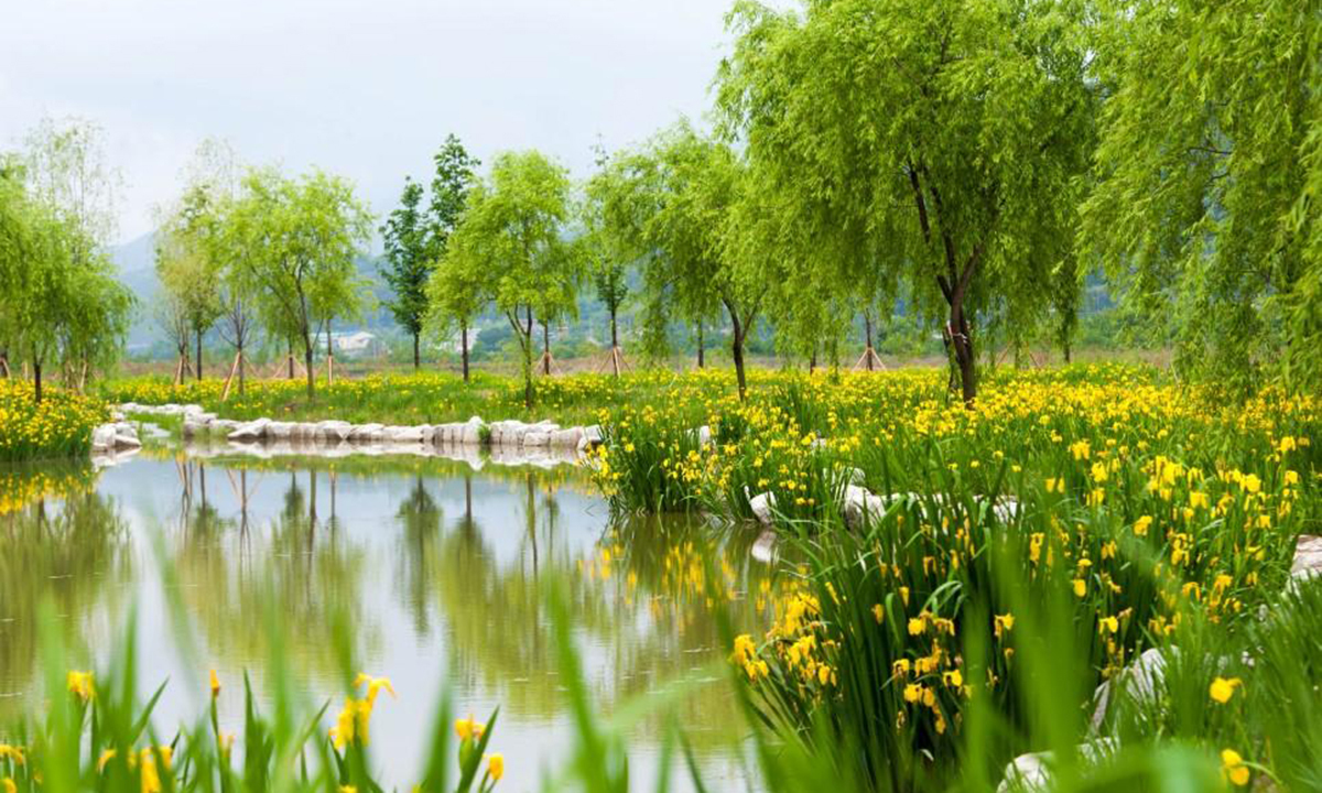 ‘주문진 향호정원’ 조성 본격 추진