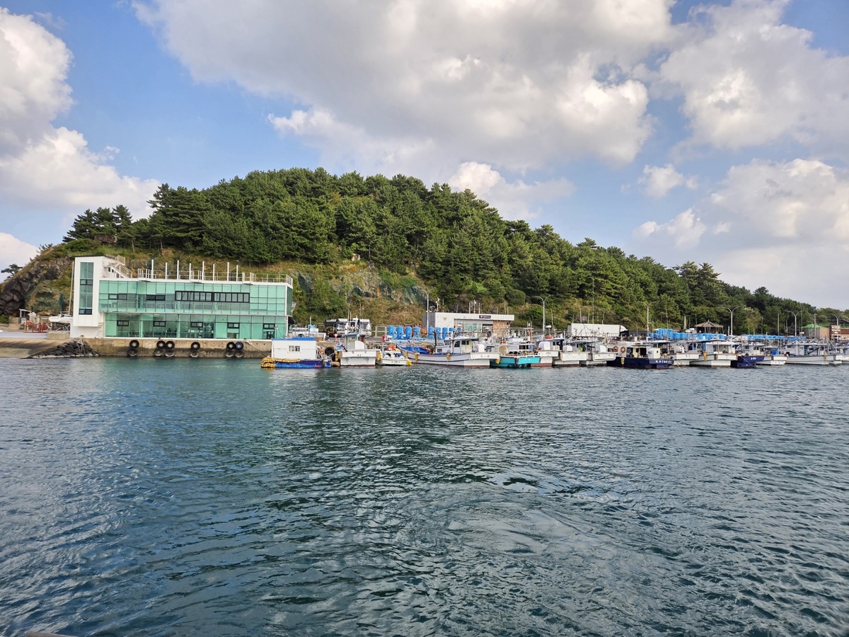 바다와 바람, 세일링…제1회 제주컵 국제요트대회 27일 개막