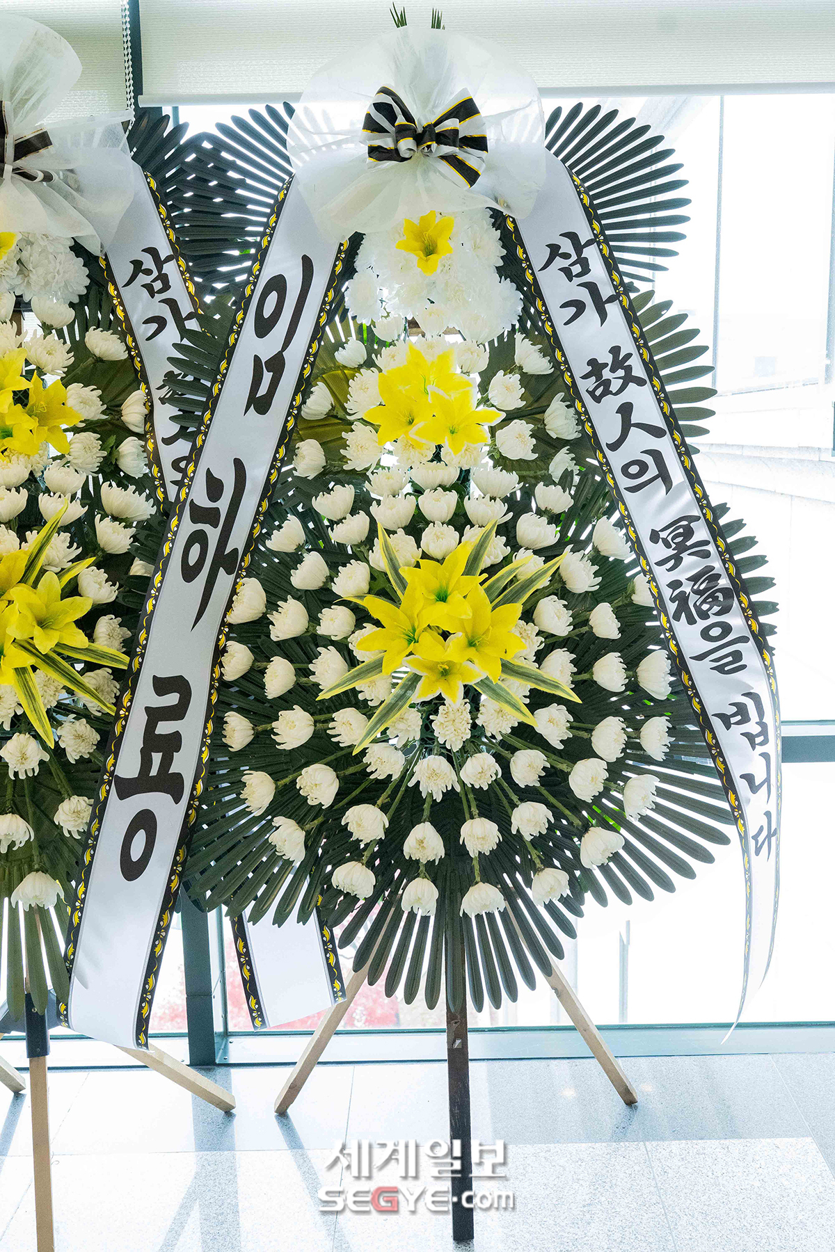 [포토] 이순재 빈소에 놓여진 배우 임하룡의 근조화환