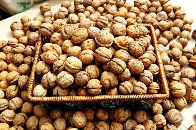 ‘경북 호두’ 국내 최고 품질 입증…산림과수 부문 1·2·3위 싹쓸이