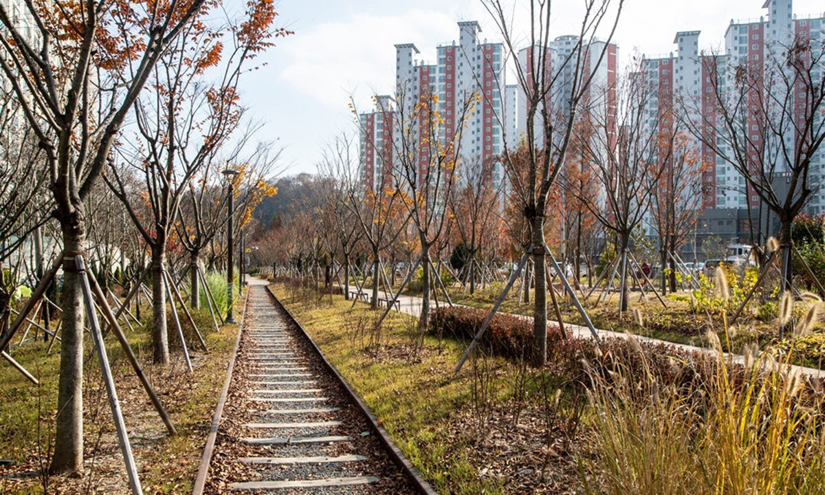 군산 폐철도 2.6㎞ 바람길숲으로 재탄생… 도심 생태축 완성
