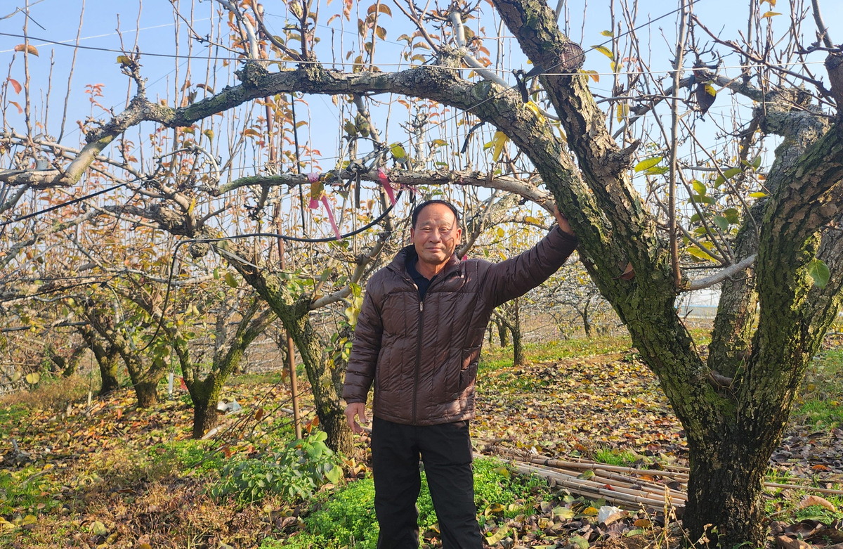 전남 과일, 대한민국 과일산업대전서 경쟁력 입증