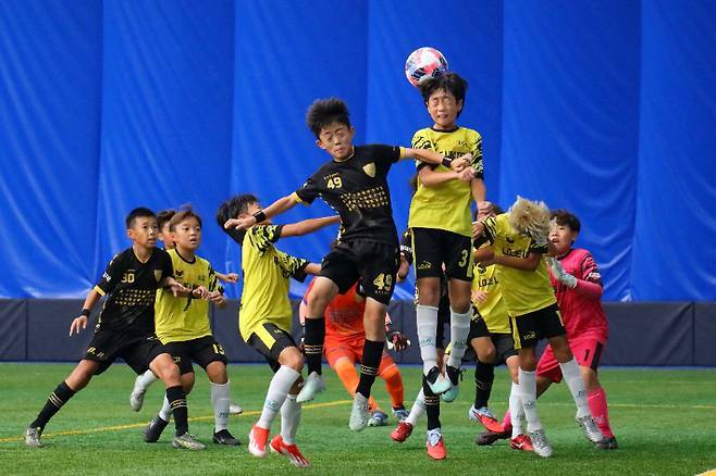 화랑대기 전국유소년 축구대회, 경제 유발 효과 627억