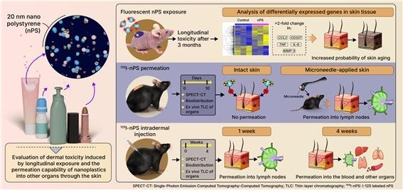 공포의 나노플라스틱…“피부 뚫고 온몸 퍼질 수 있어”
