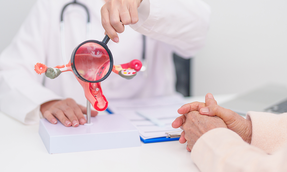 폐경, 여성 뇌 건강에도 영향 [김태정의 진료실은 오늘도 맑음]