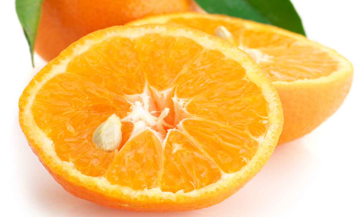 ‘귤루랄라’ 상큼함 한도초과… 서울서 10돌 맞은 제주 ‘감귤데이’