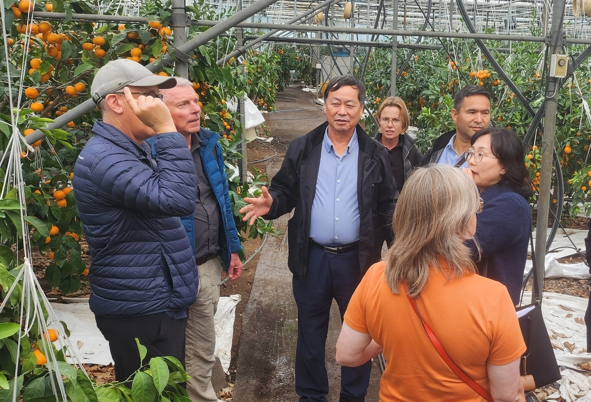 대한민국 최고 농업기술명인에 제주감귤 농가 강만희씨 선정